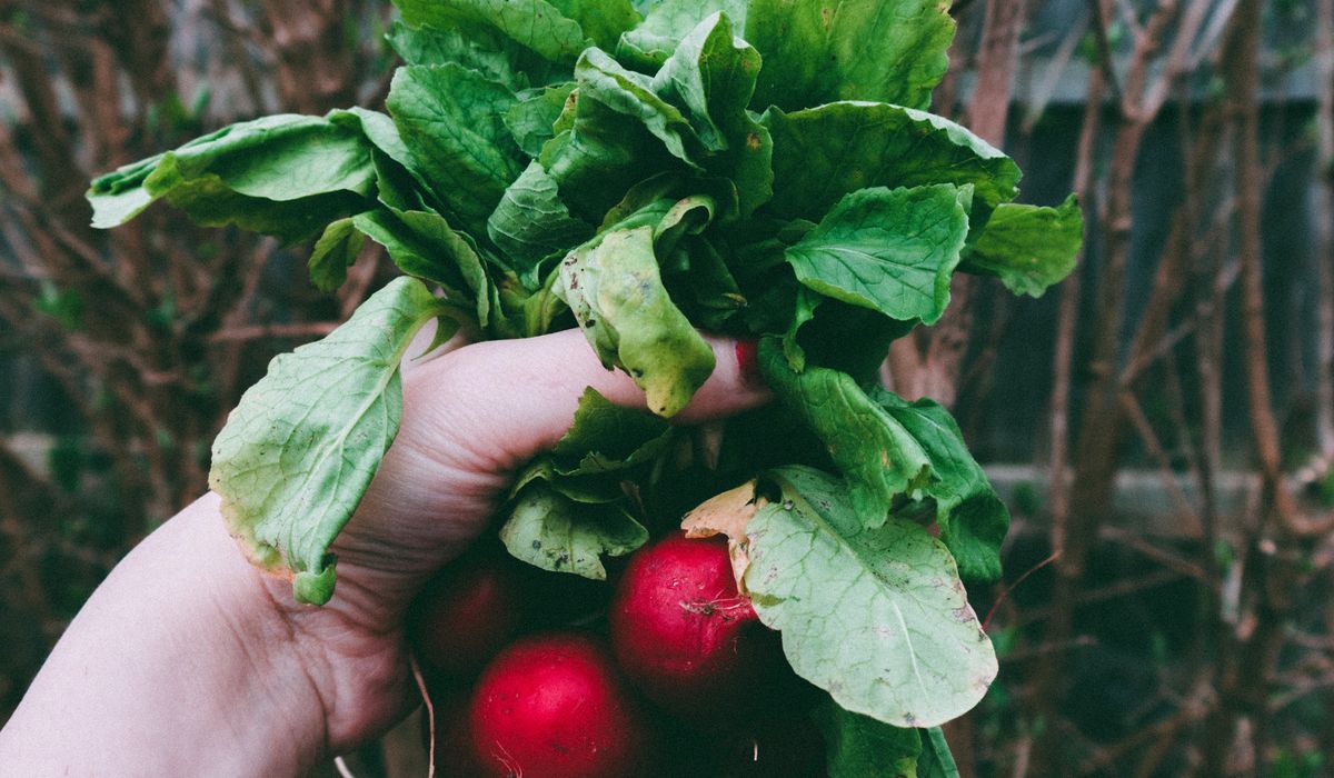 A Practical Guide to Composting Horse Manure