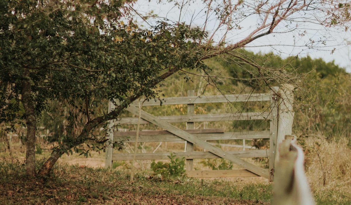 Finding and Buying a Smallholding in the UK