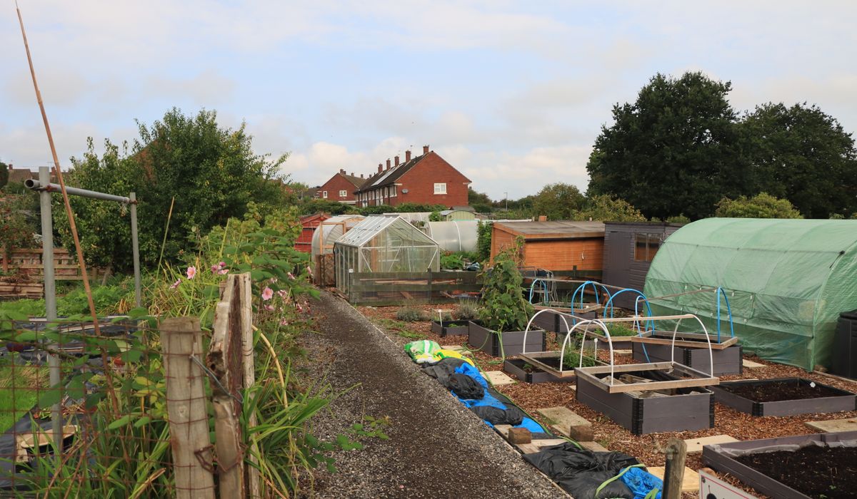 Growing Soft Fruit in Containers and Raised Beds