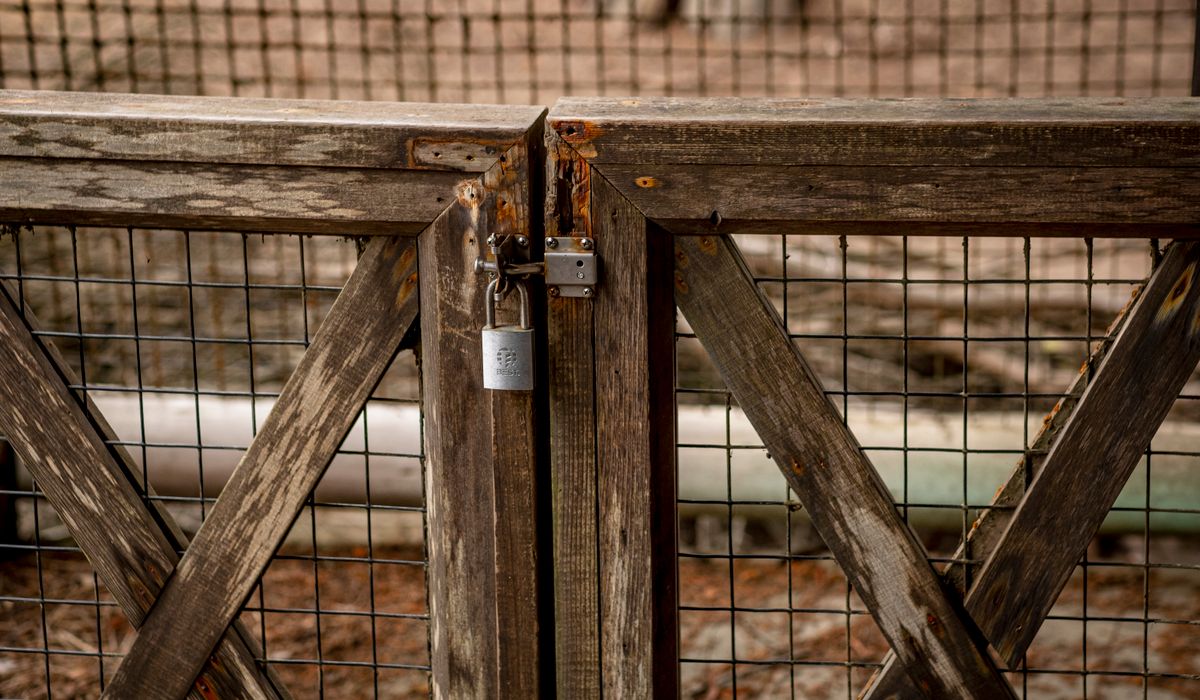 Preserving Your Harvest Through Fermentation and Pickling